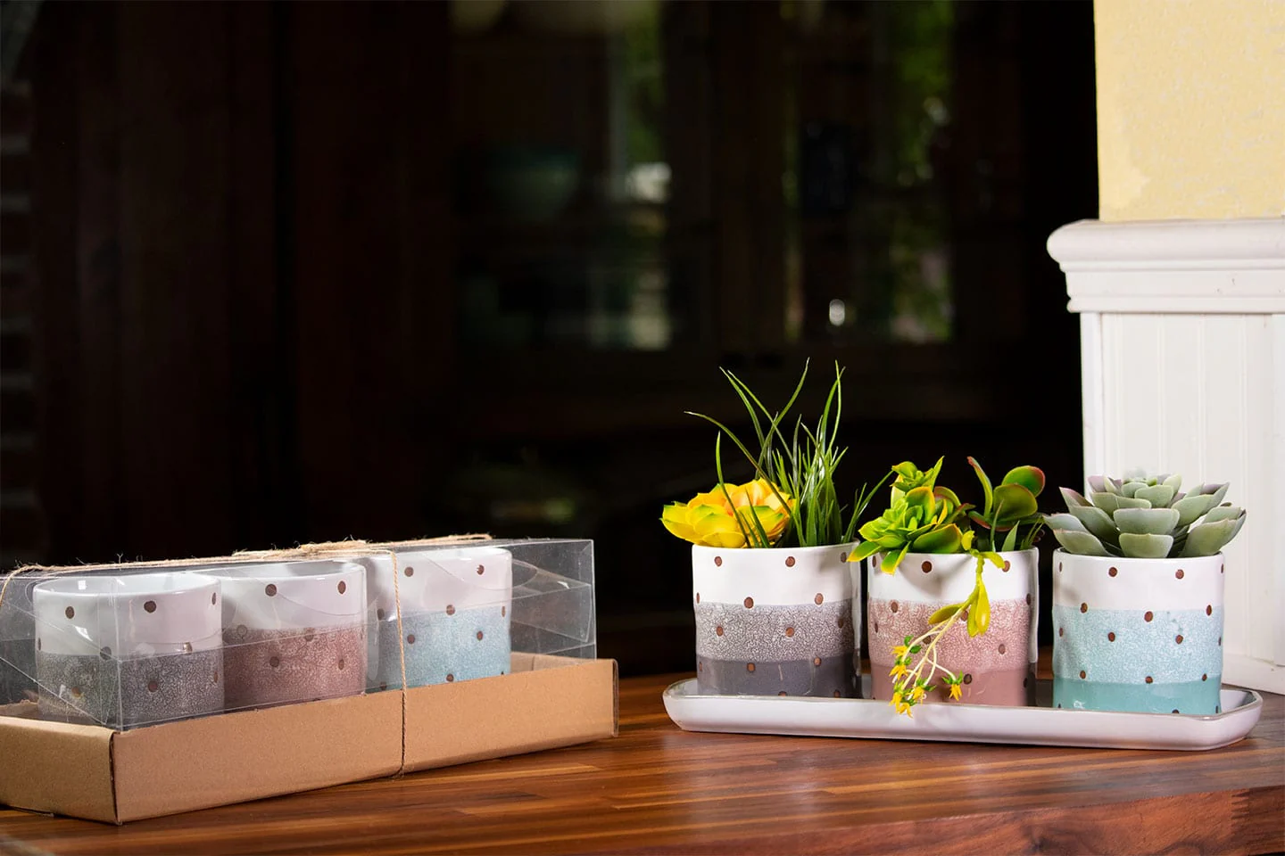 Ashton Dot Set of 4" Planters W/ Tray - Image 3