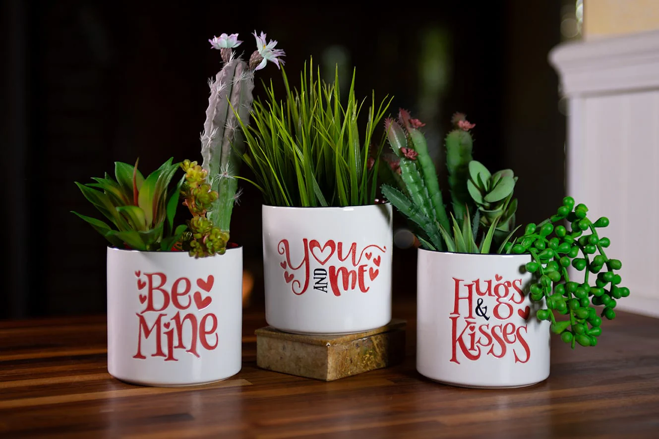 Be Mine Planters