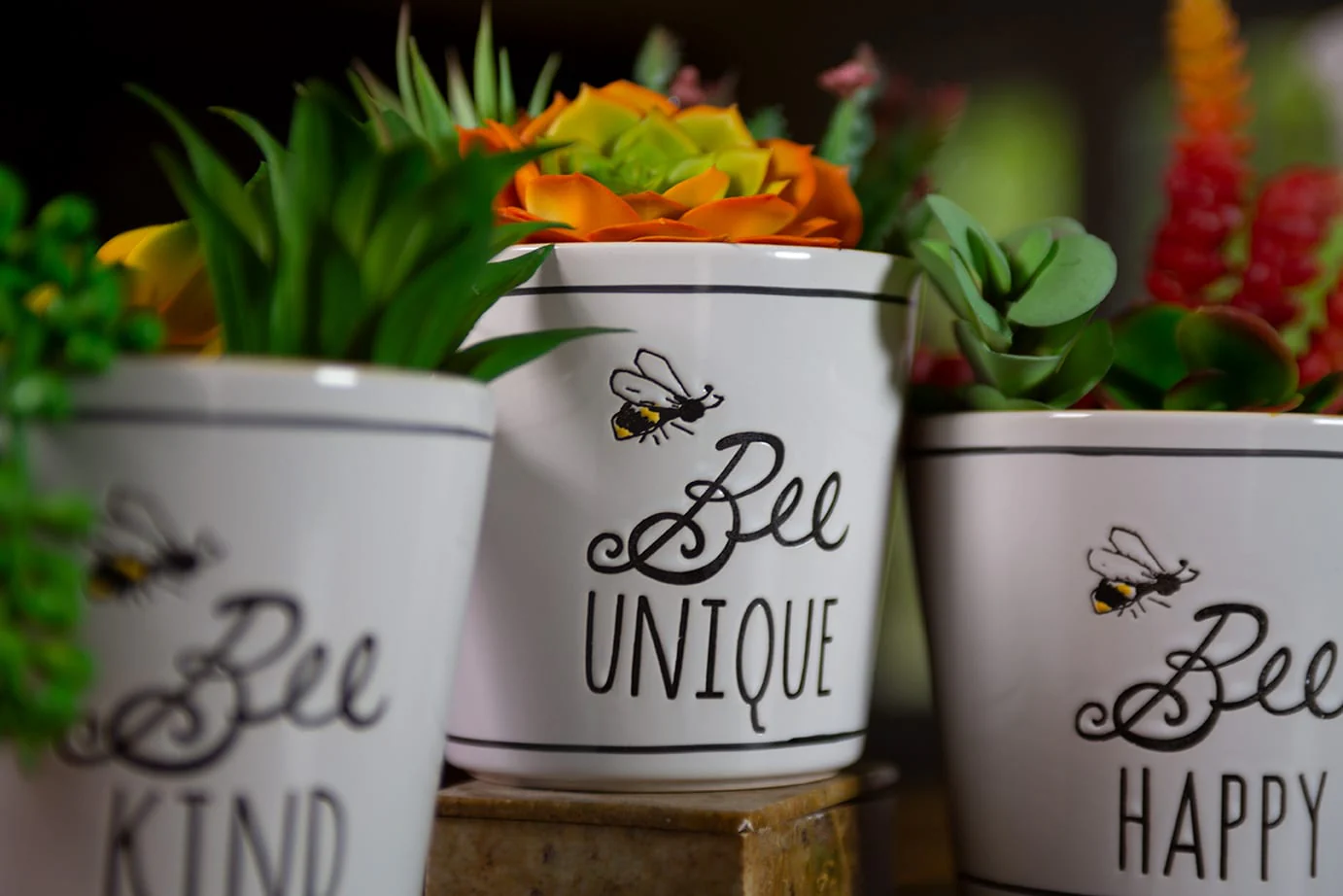 Bee Buzz Planters - Image 2