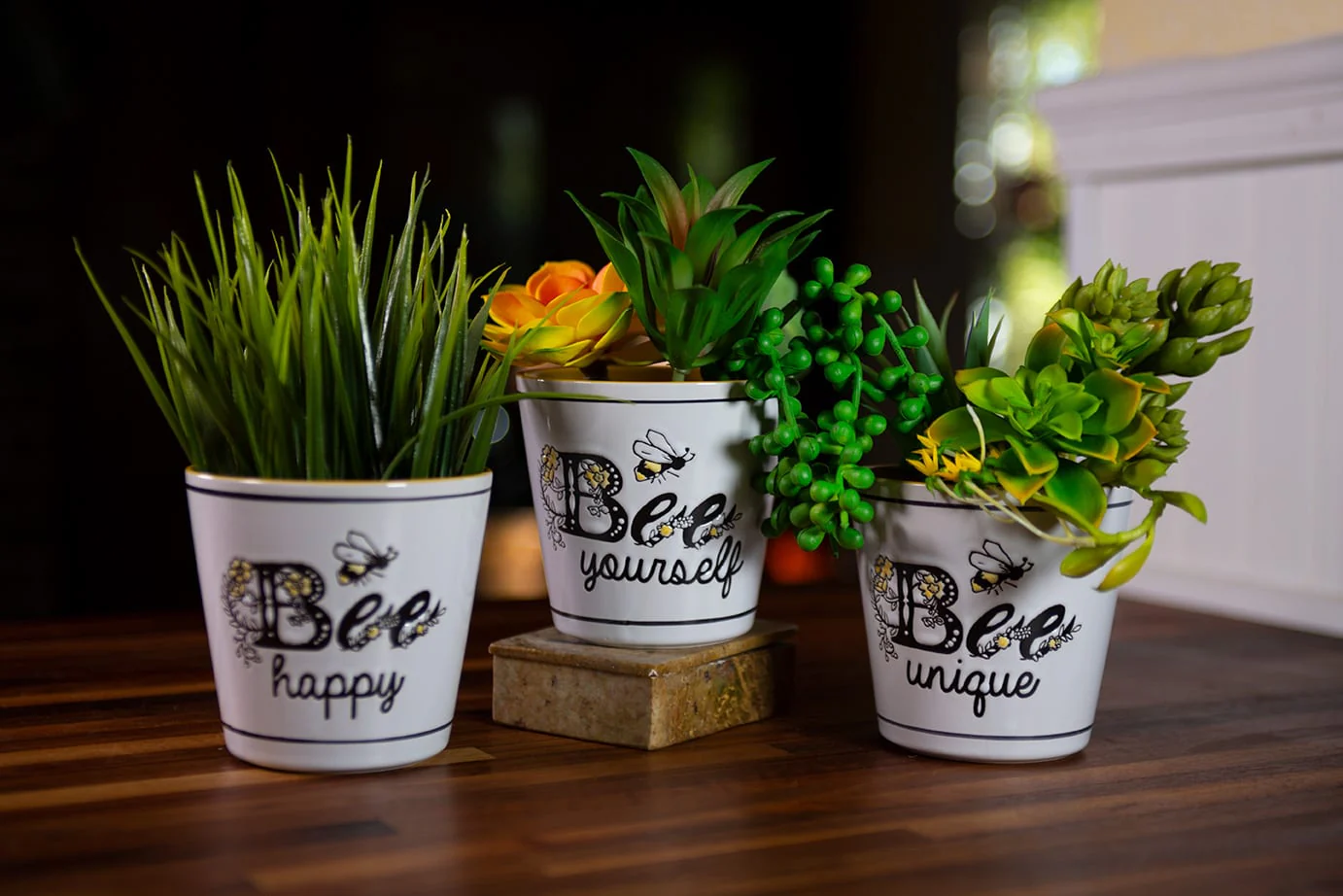 Cammy Bee Planters 4" ; 3 Assorted Colors