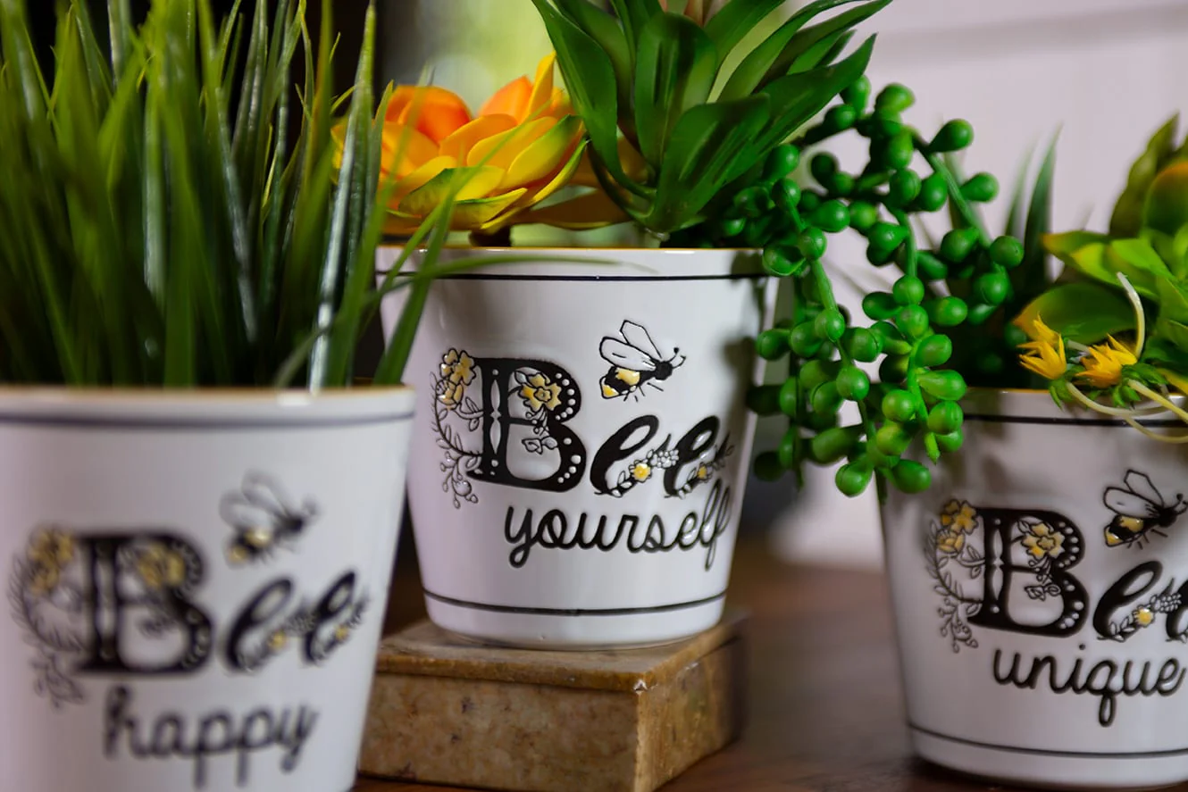 Cammy Bee Planters 4" ; 3 Assorted Colors - Image 2