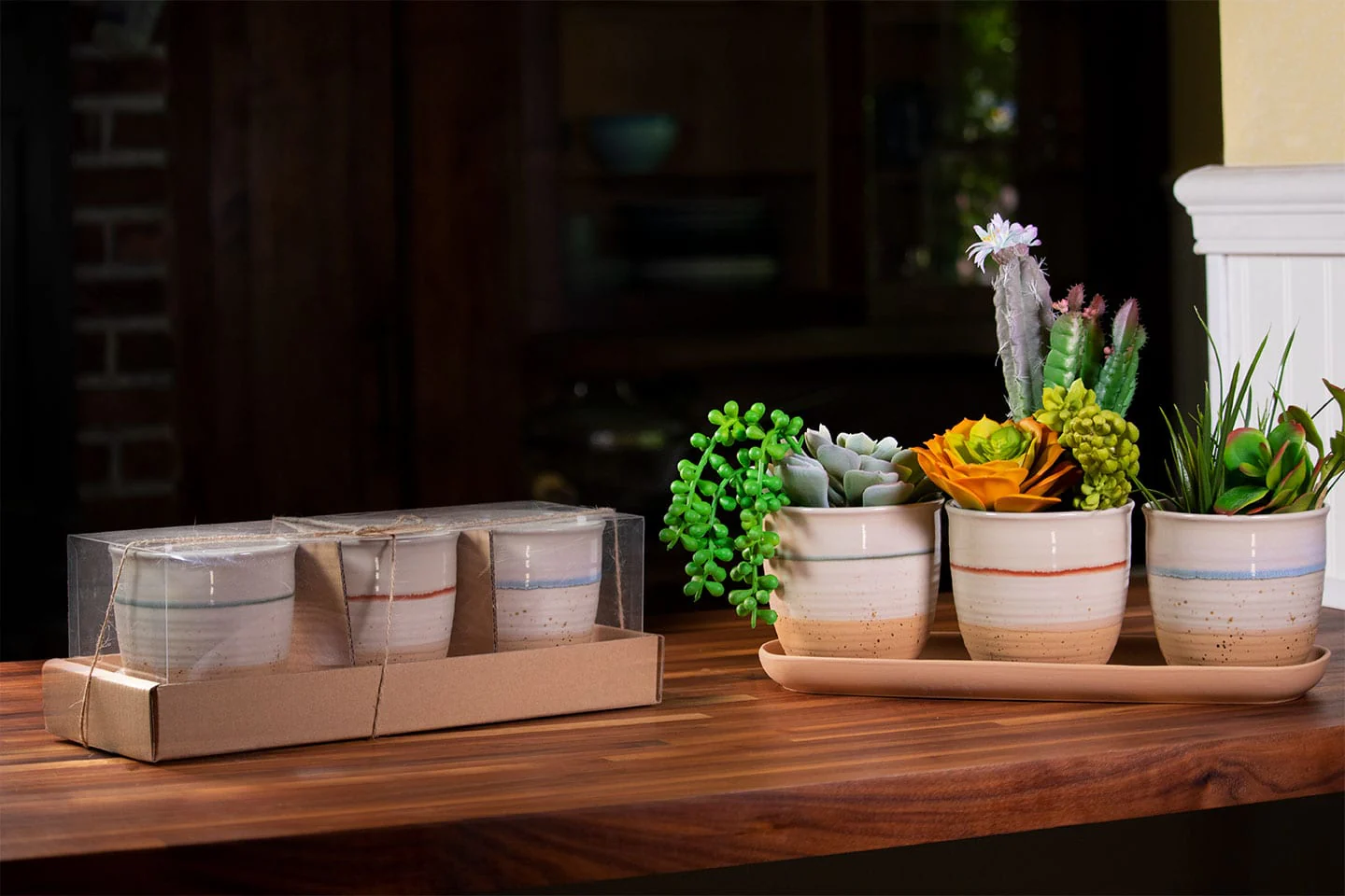 Cannon Drip Set of 4" Planters W/ Tray - Image 3