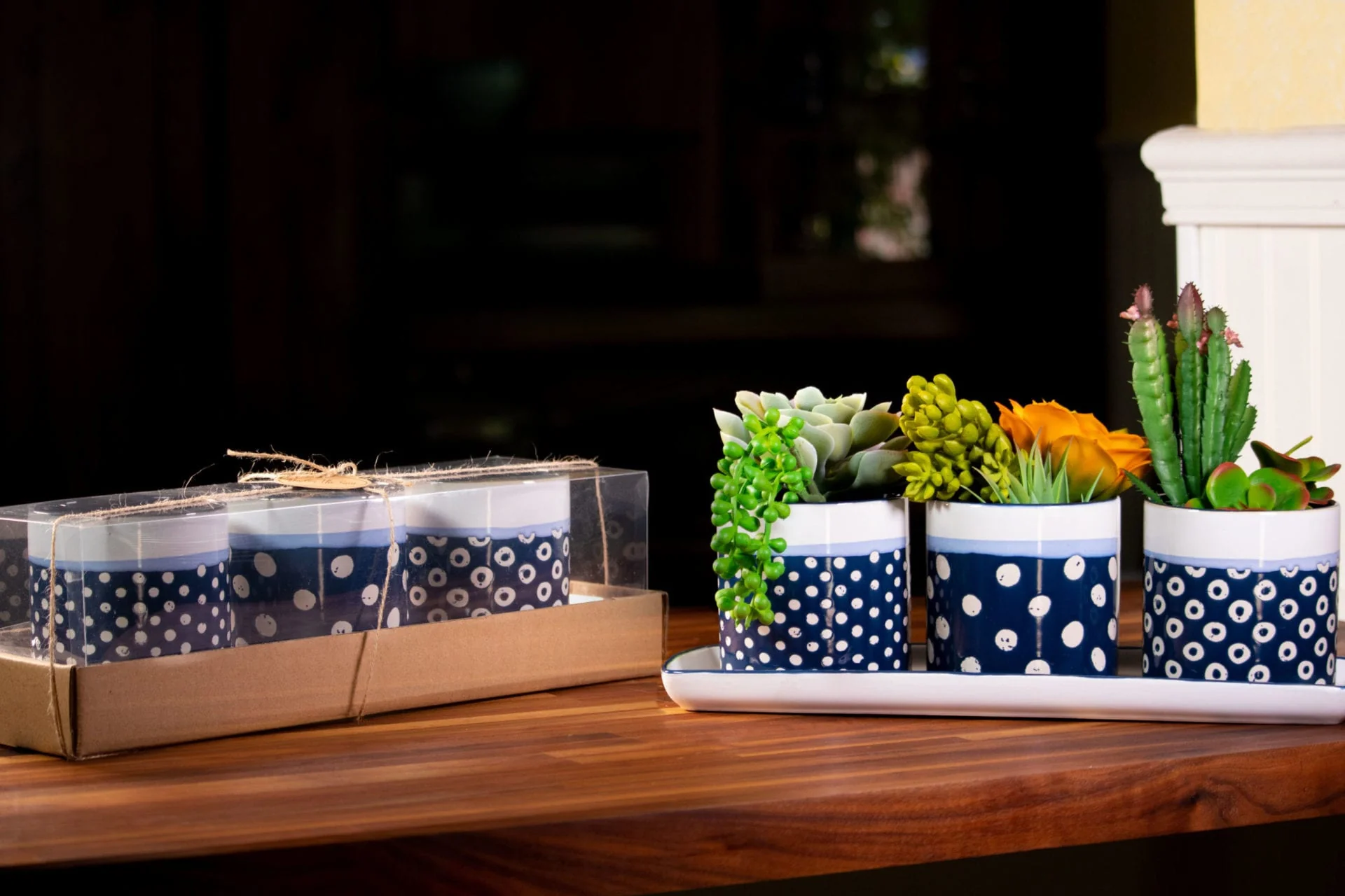 Carla Dot Set of 4" Planter W/ Tray - Image 3