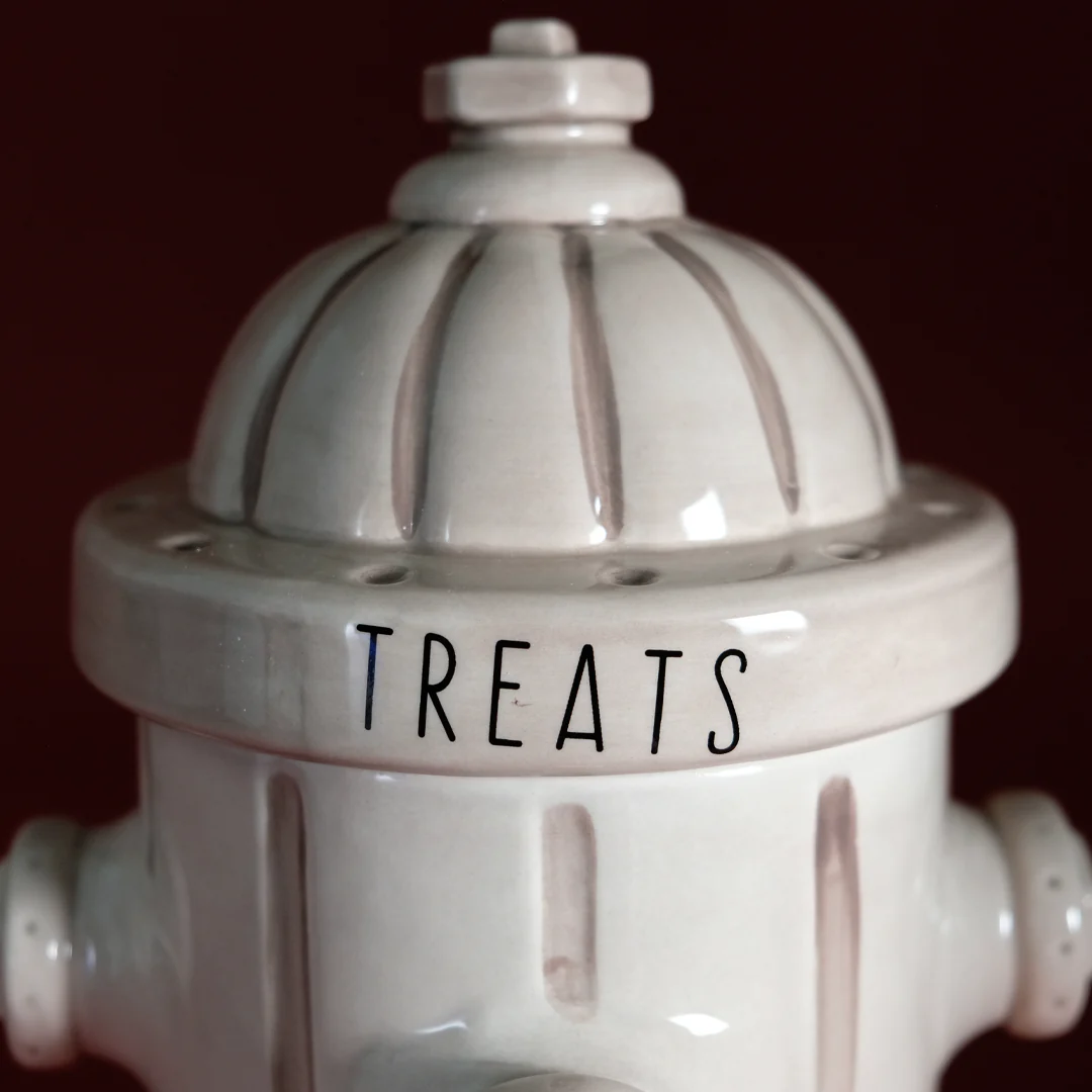 Fire Hydrant Treat Jar - Antique White - Image 6