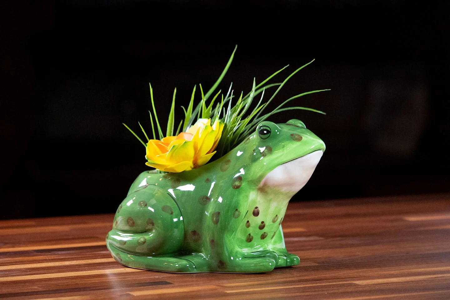 Frog Planter