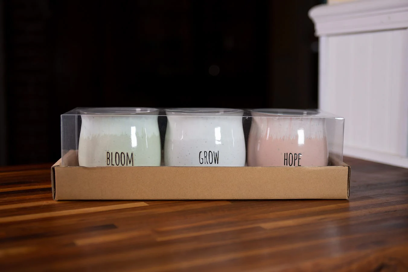 Grandview Set of 4" Planters W/ Tray - Image 2