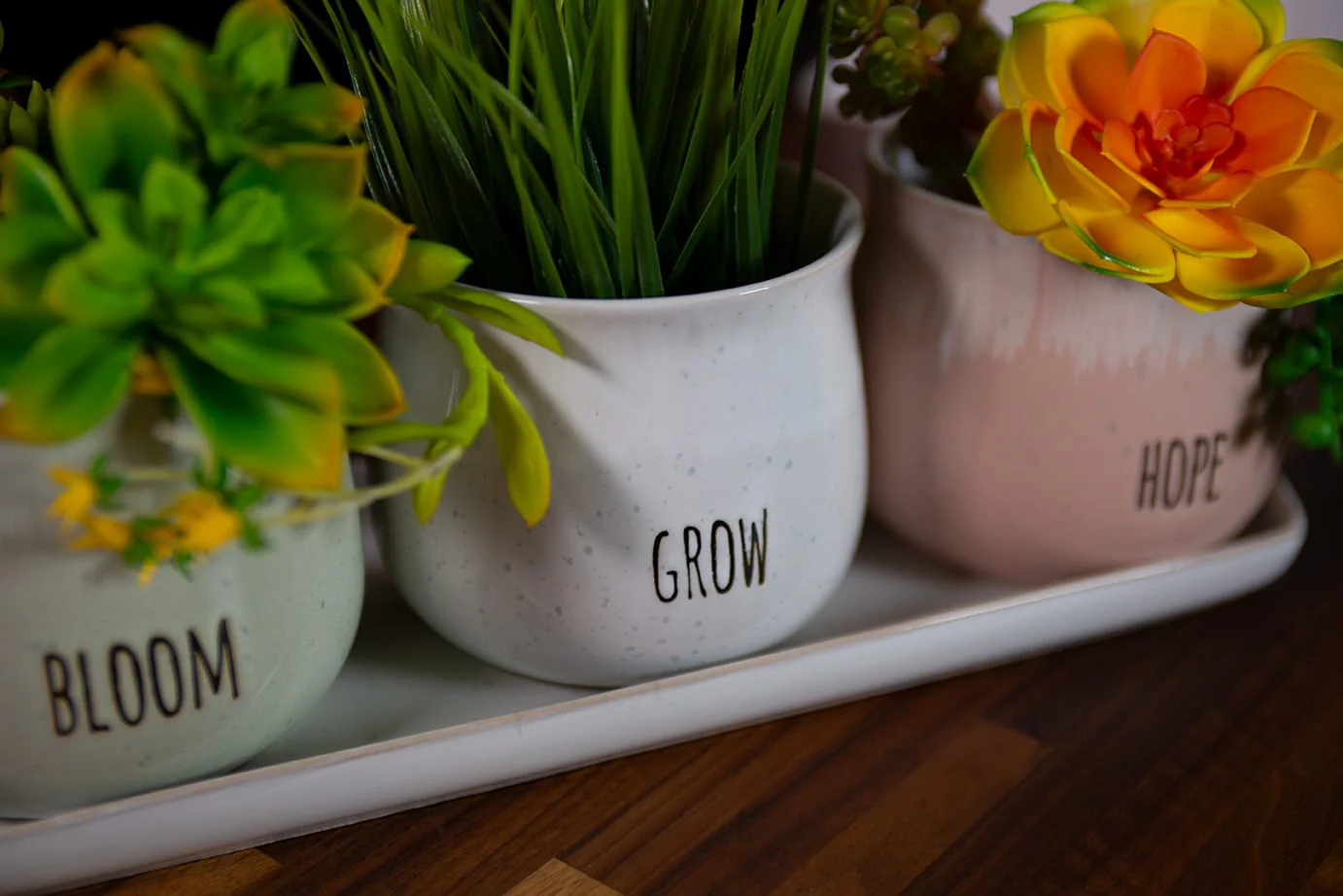 Grandview Set of 4" Planters W/ Tray - Image 3