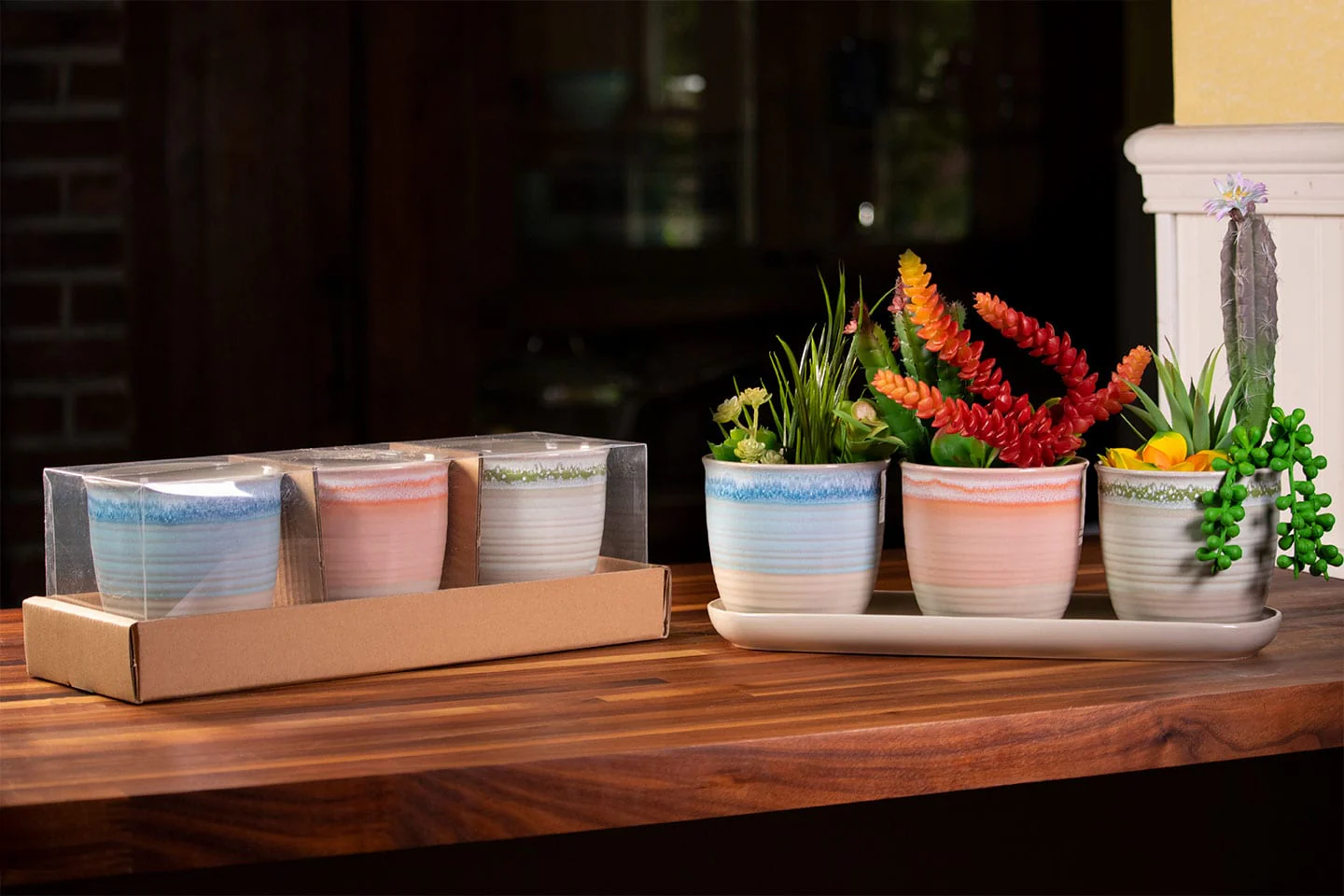 Pastel Charm Set of 4" Planters W/ Tray - Image 3