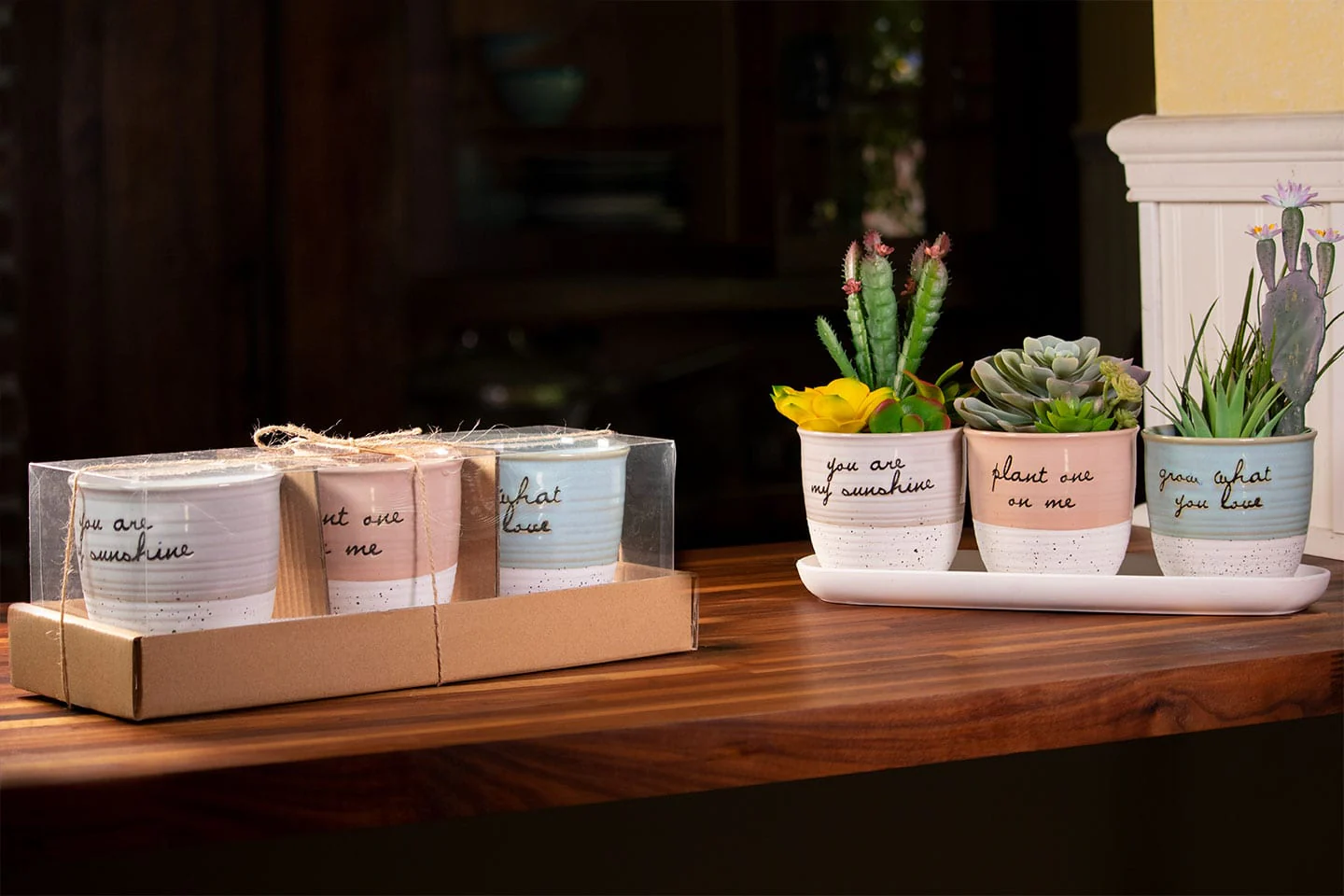 Patricia Set of 4" Planters W/ Tray - Image 3