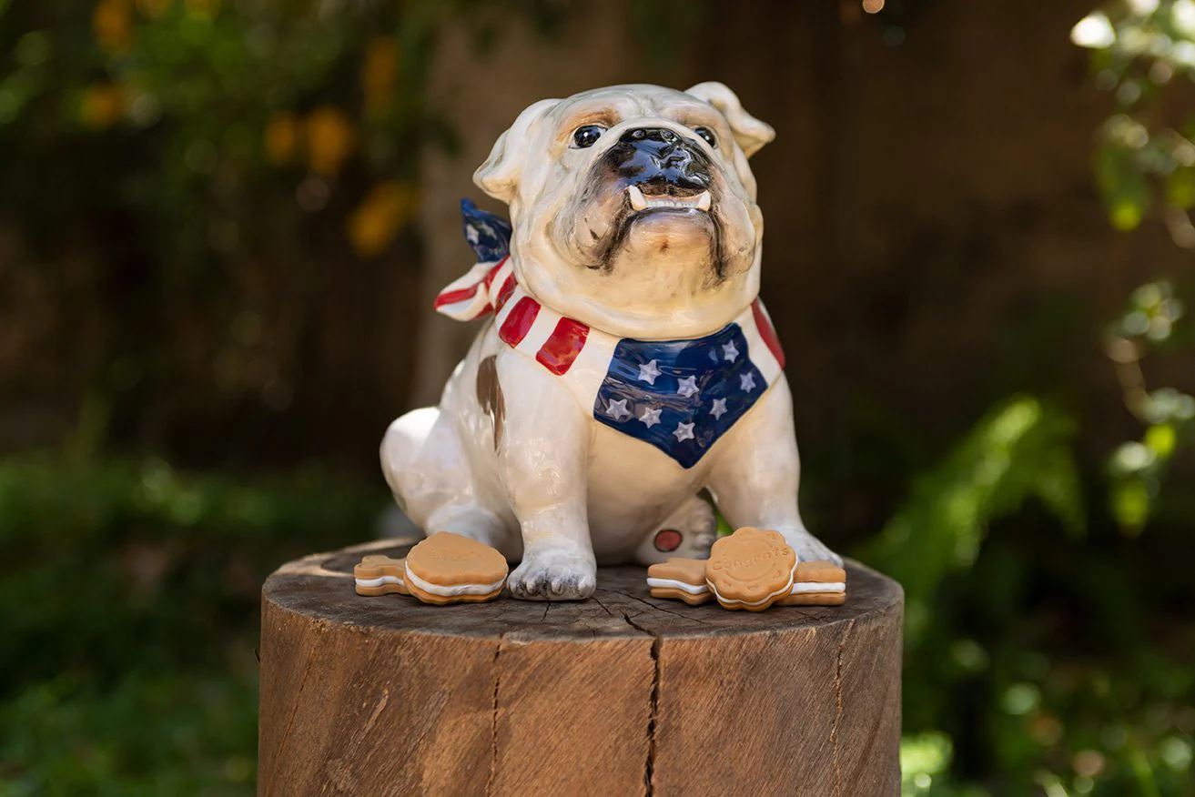 Stars and Stripes Forever Bulldog Cookie Jar